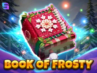 Book Of Frosty screenshot